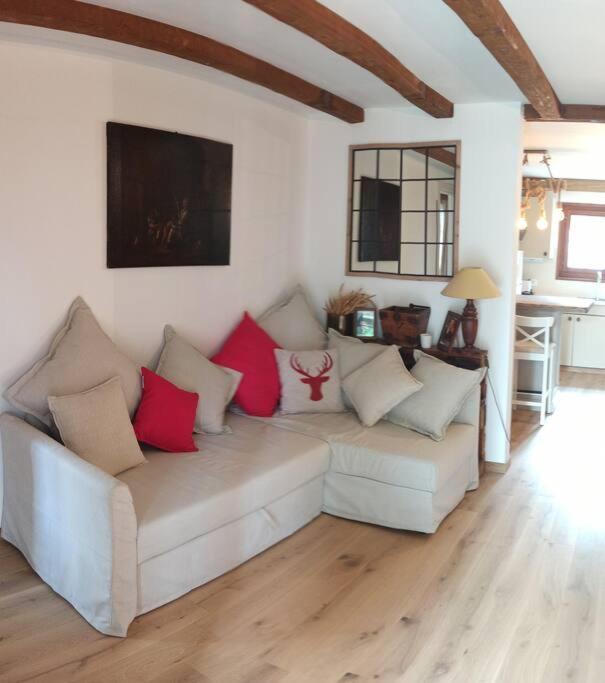 Cozy Apartment In The Heart Of The Alps シャトー・デー エクステリア 写真